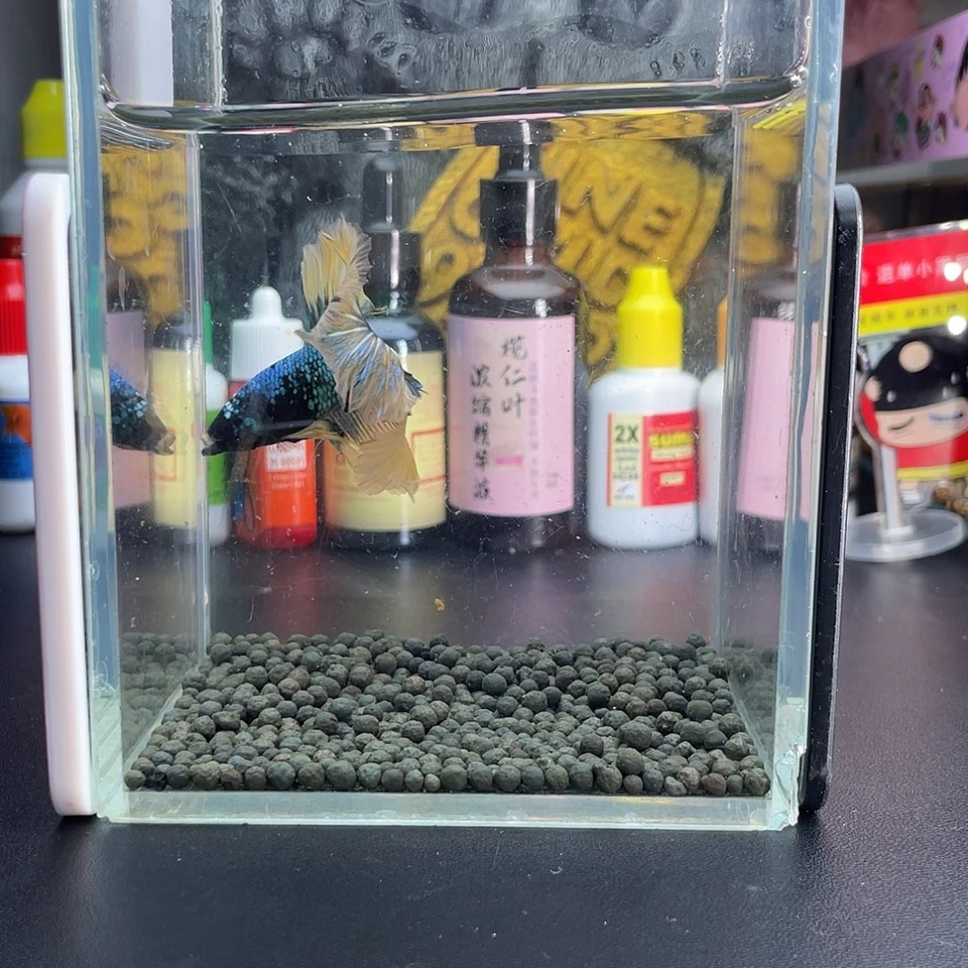 斗鱼63号103早暗黑半月