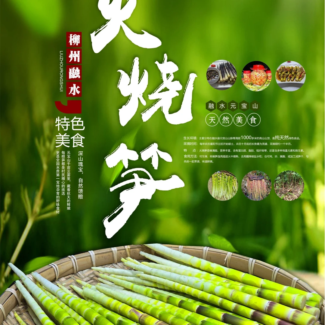 融水元宝山火烧笋美味可口新鲜尝鲜
