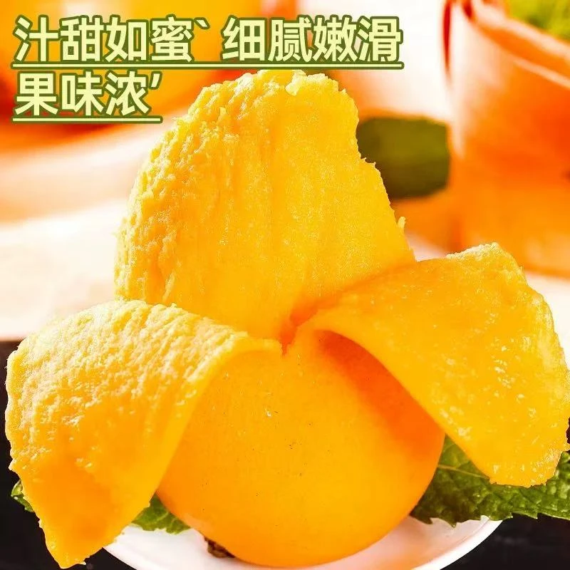 云南玉溪元江高山小台芒产地直发