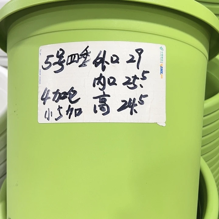 特价5号口29高24.5白色6只带托