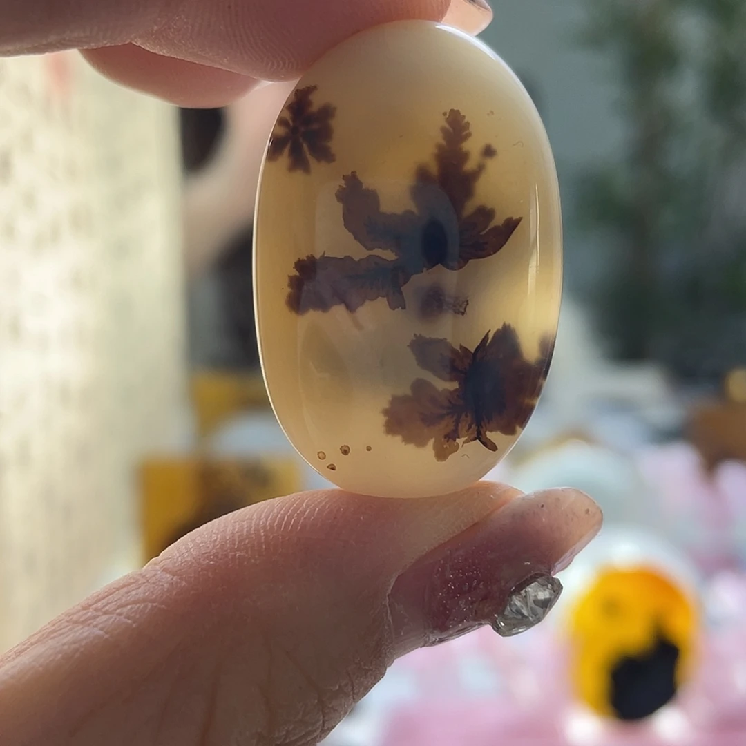 玛瑙/玉髓未镶嵌珠宝奇石