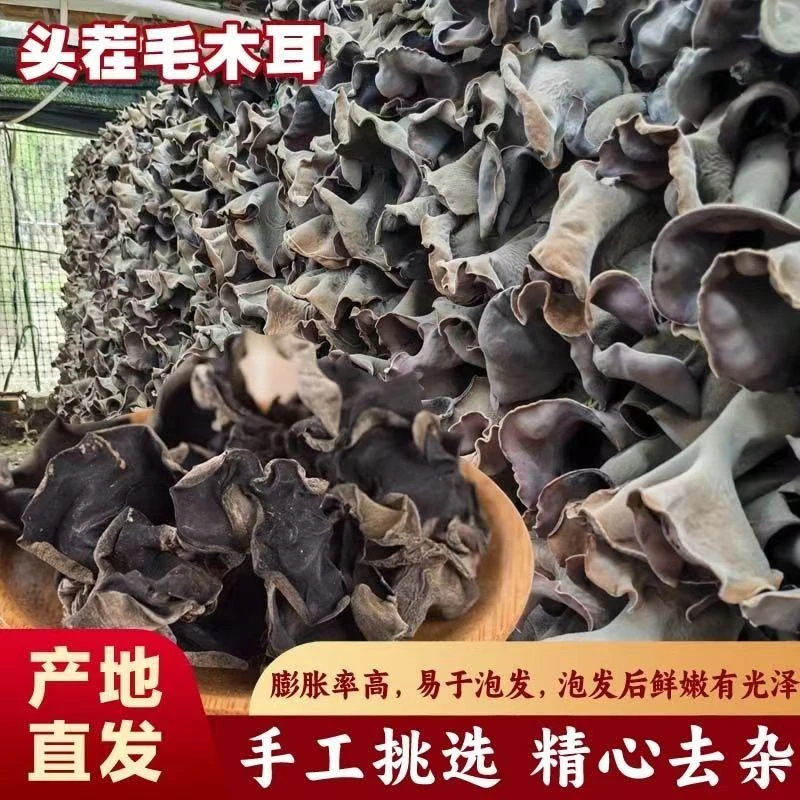 白背毛木耳新货肉厚自然晾晒适合火锅的脆木耳