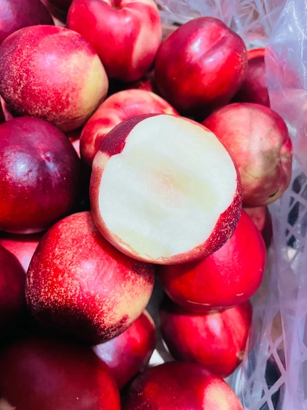 【六妈好物】智利白油桃香甜脆爽多汁桃香1件4斤起辽宁发货