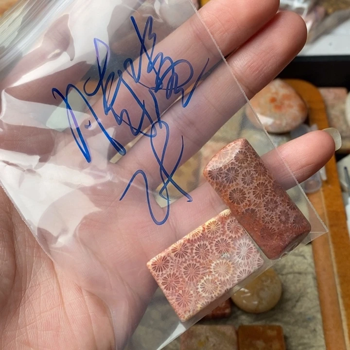 凡***酱颈饰未镶嵌硅化珊瑚（珊瑚玉）