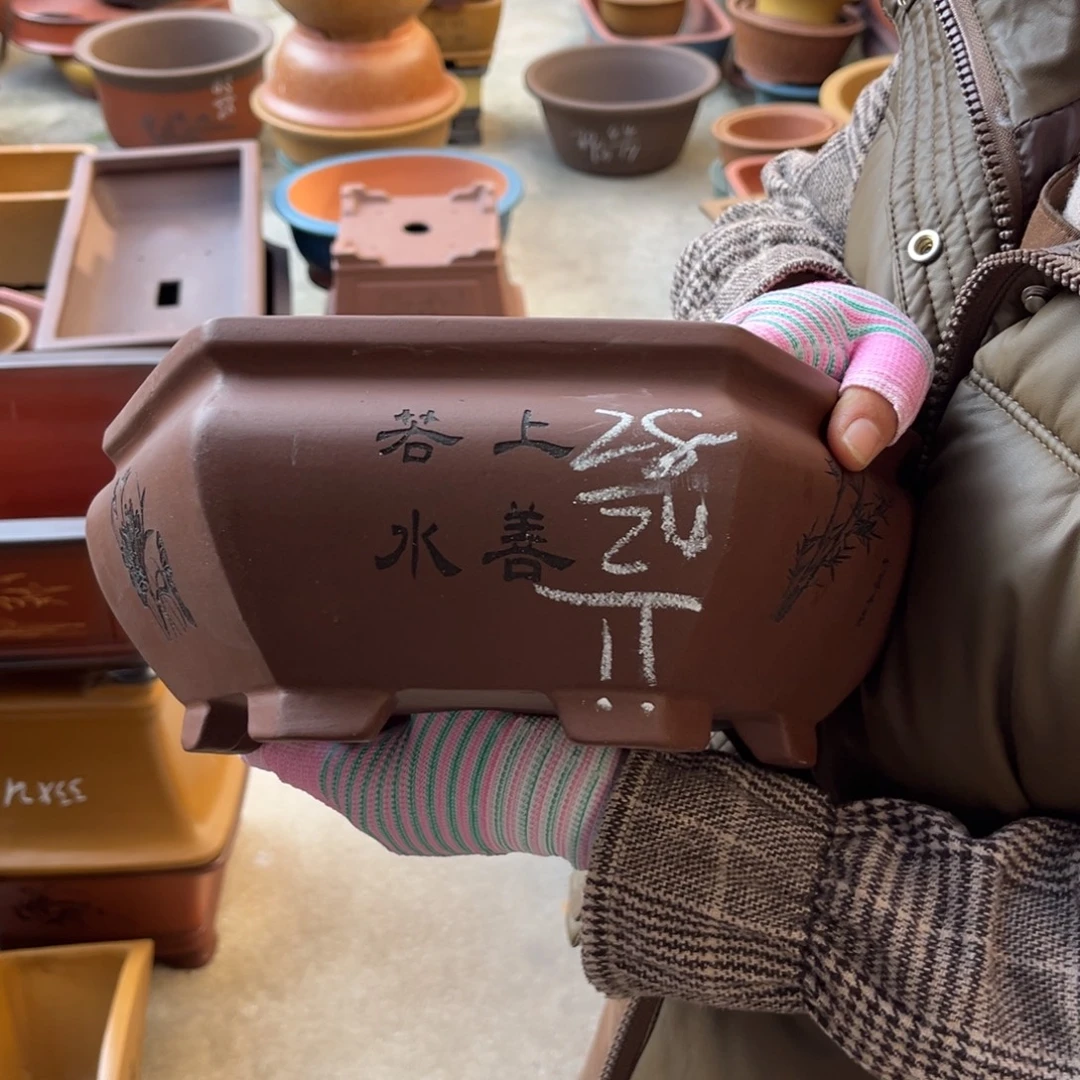 紫砂花盆盆景艺术