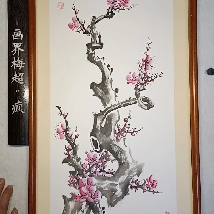 绘画用****6精品梅花卡宣作品