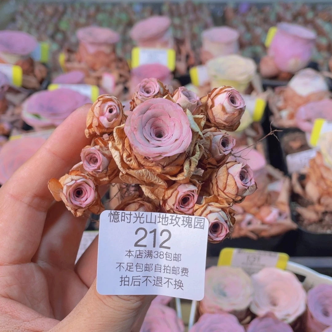 下播福利212一物一拍