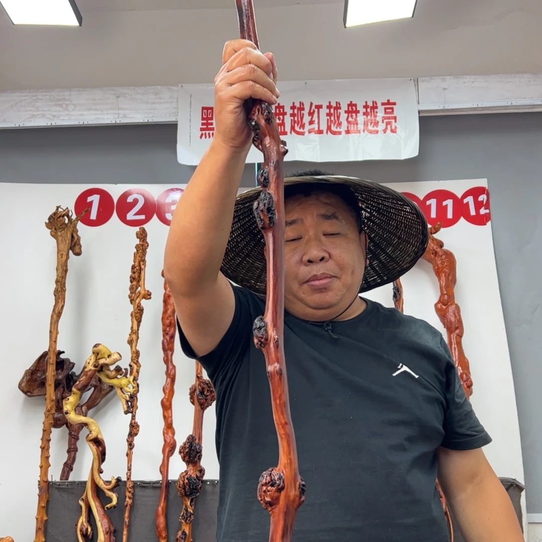 天***高黑果木其他黑果木001
