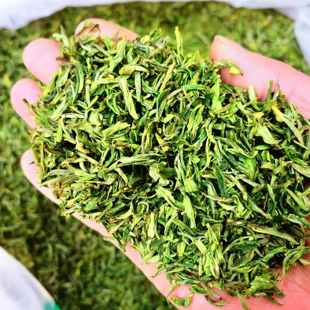 新茶，明前手工高山白茶断芽，袋装SA168亏钱卖，兰花香