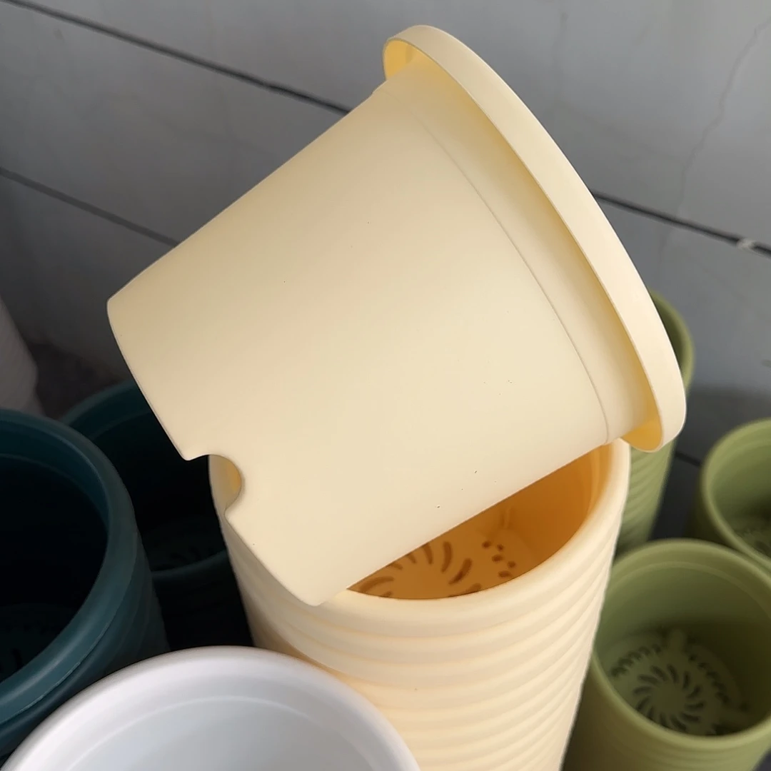 微瑕6号7个无托，米黄