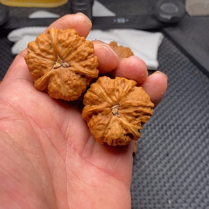 核桃把件束**森拼接蛤蟆3