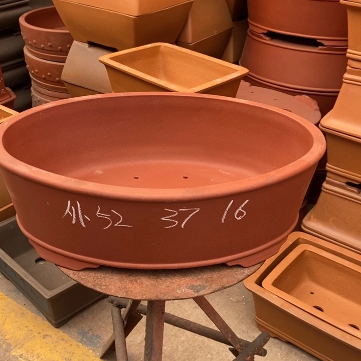 紫砂花盆只顾吃肉