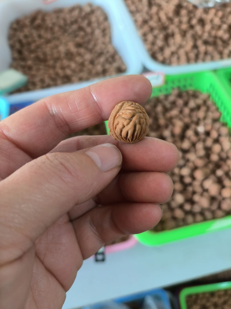 秦岭龙纹桃核手串料桃核