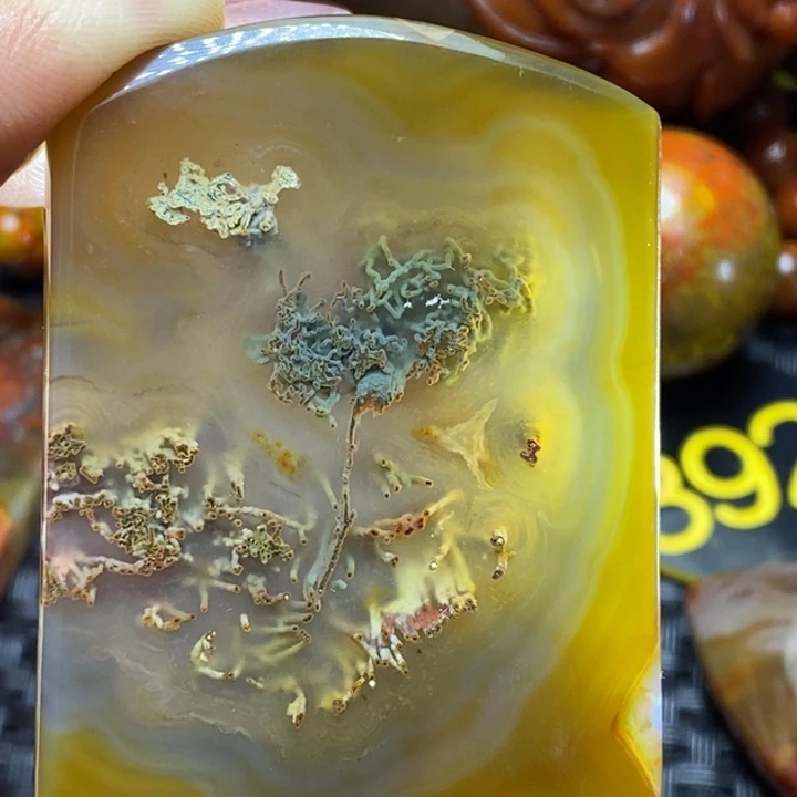 玛瑙/玉髓未镶嵌颈饰九**皋