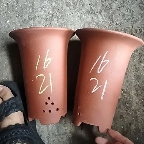 小红兰花两个微瑕