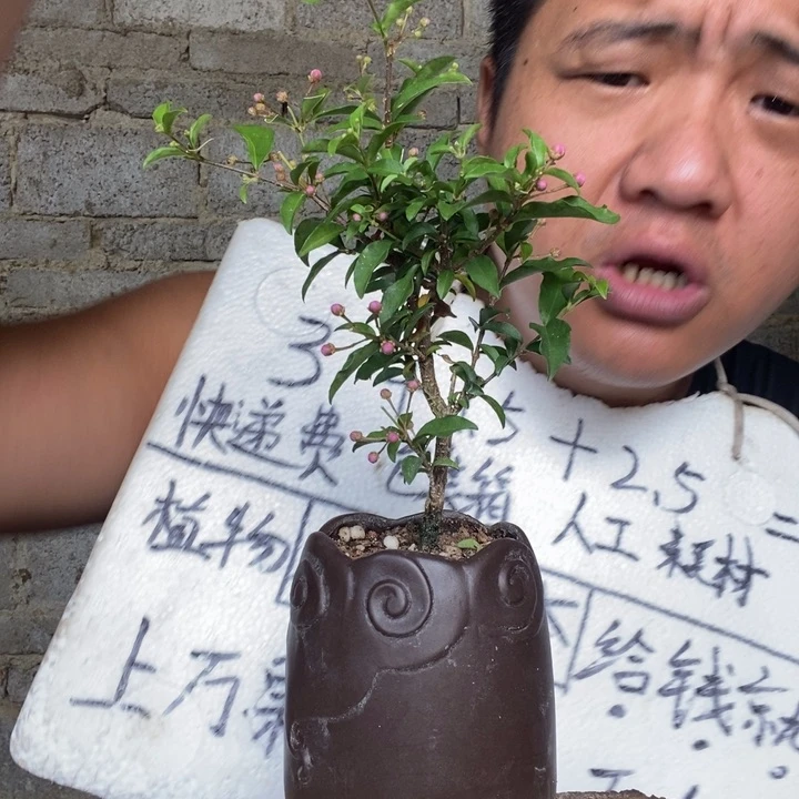 退款拉黑一物一拍82