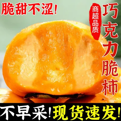 正宗山西阳丰脆柿子新鲜应季甜柿脆甜爽口冰糖心无籽巧克力脆柿