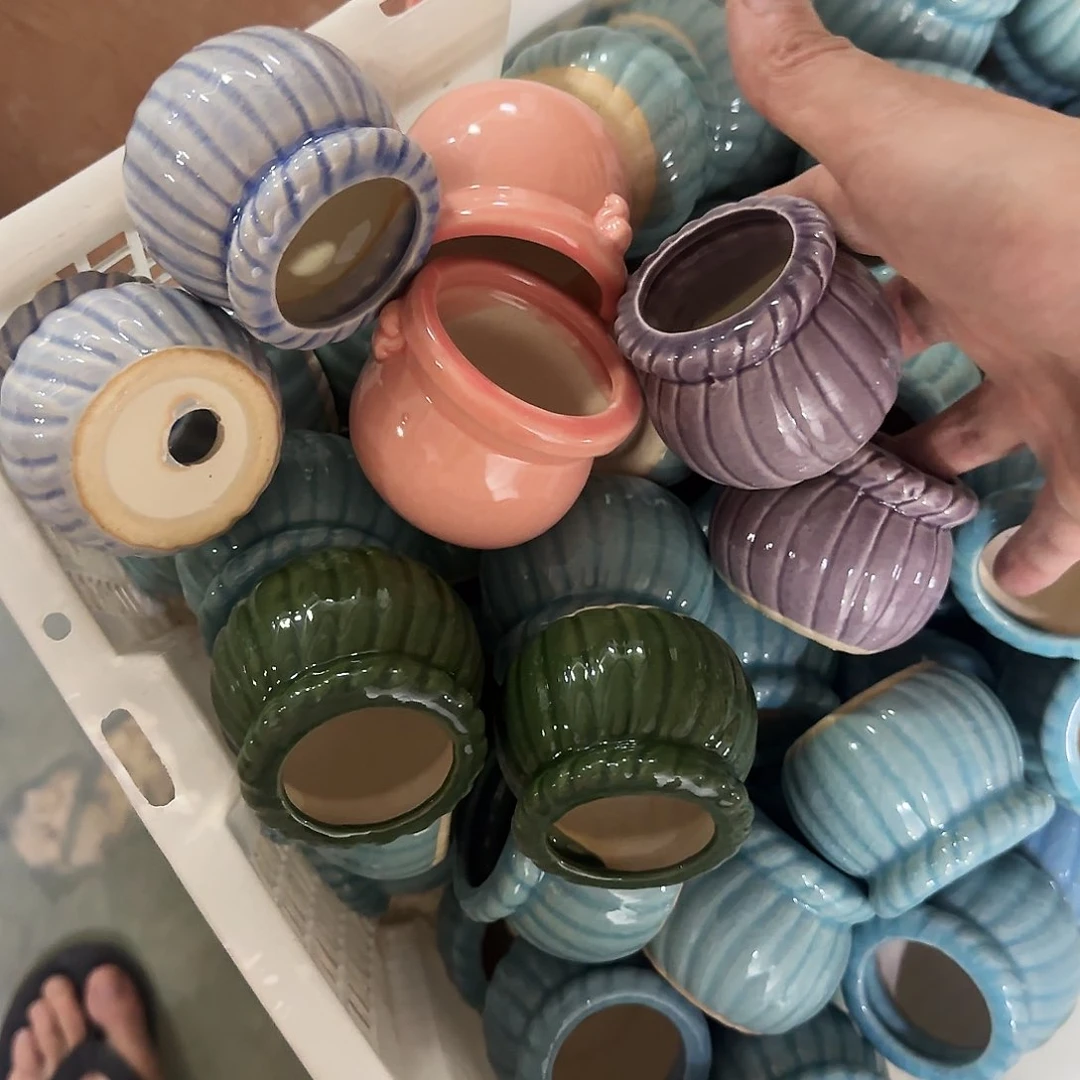 10个福利局绿植多肉盆［凑9元包邮24小时发］