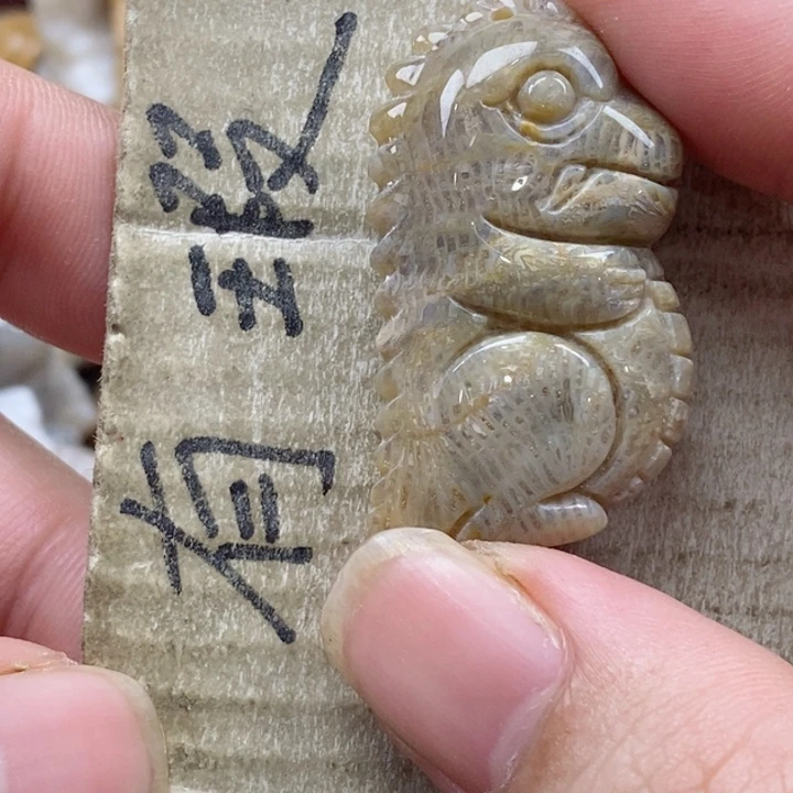 颈饰未镶嵌硅化珊瑚（珊瑚玉）我****君