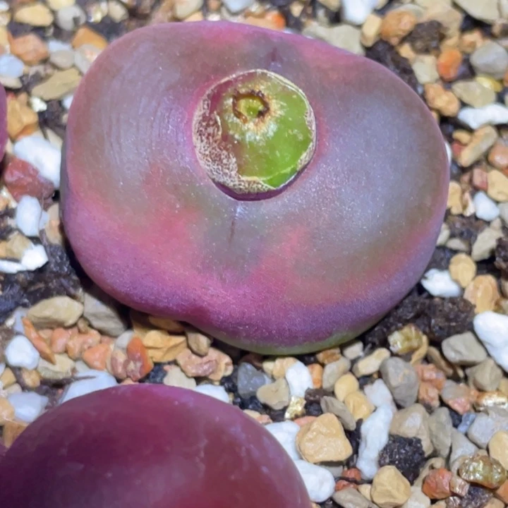 48800000880878888888