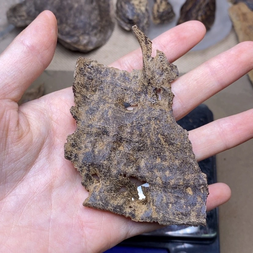 【闪购商品】香榧木沉水2.4克