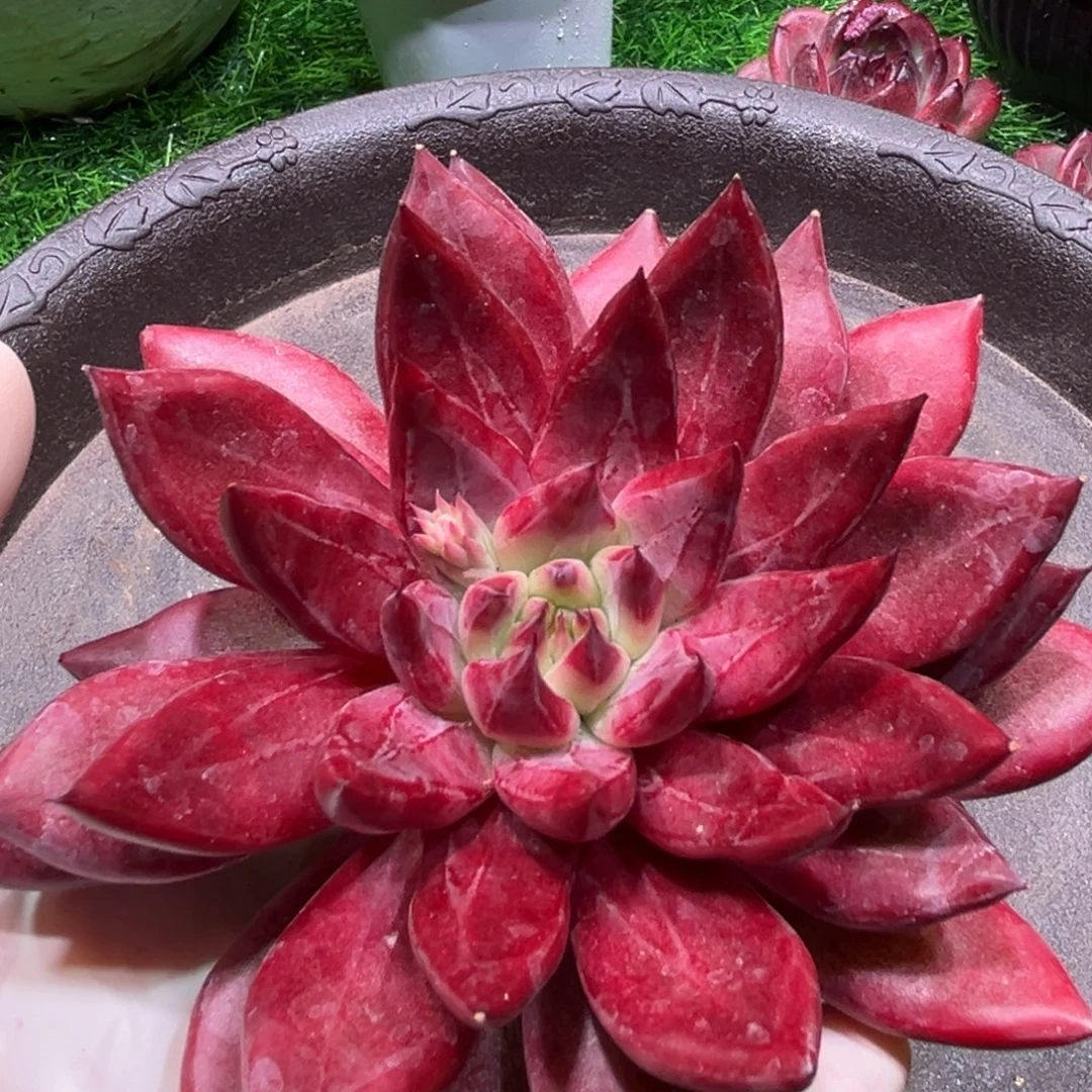 恶魔灵魂，一物一拍。