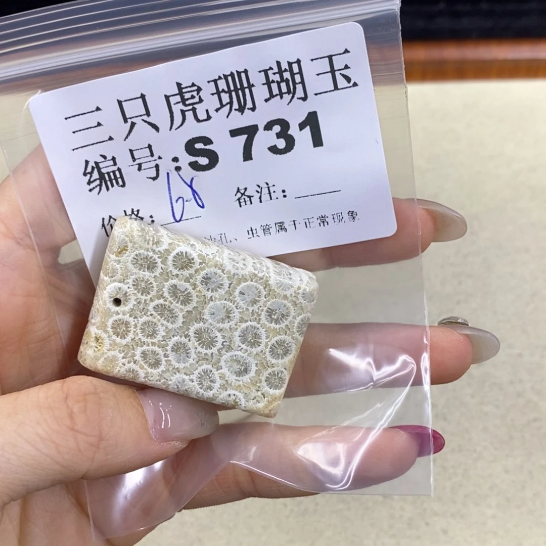 硅化珊瑚（珊瑚玉）t足银镀金镶嵌?****?