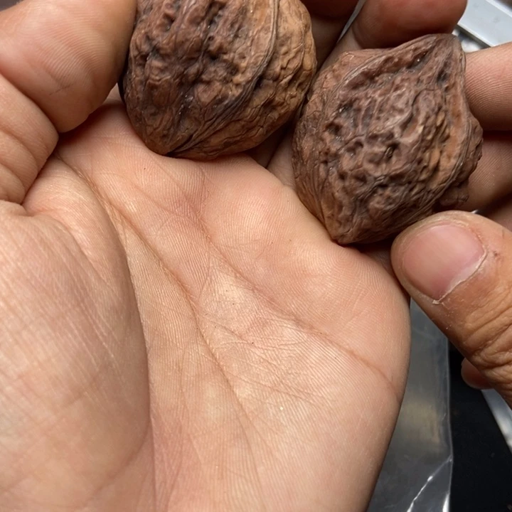 把件文玩核桃    17