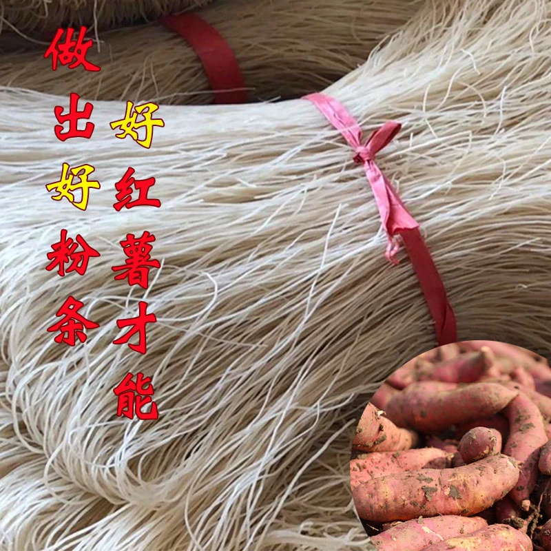 正宗河南纯红薯粉条地瓜红苕细粉手工漏瓢火锅麻辣烫酸辣粉胖大发
