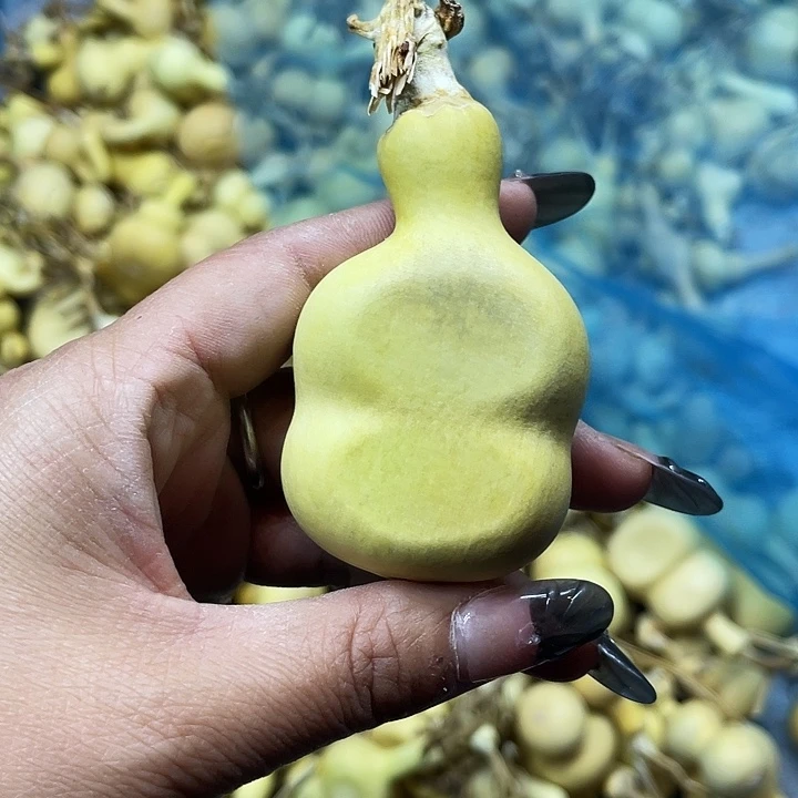 沛***然大叶紫檀（黑酸枝木类）