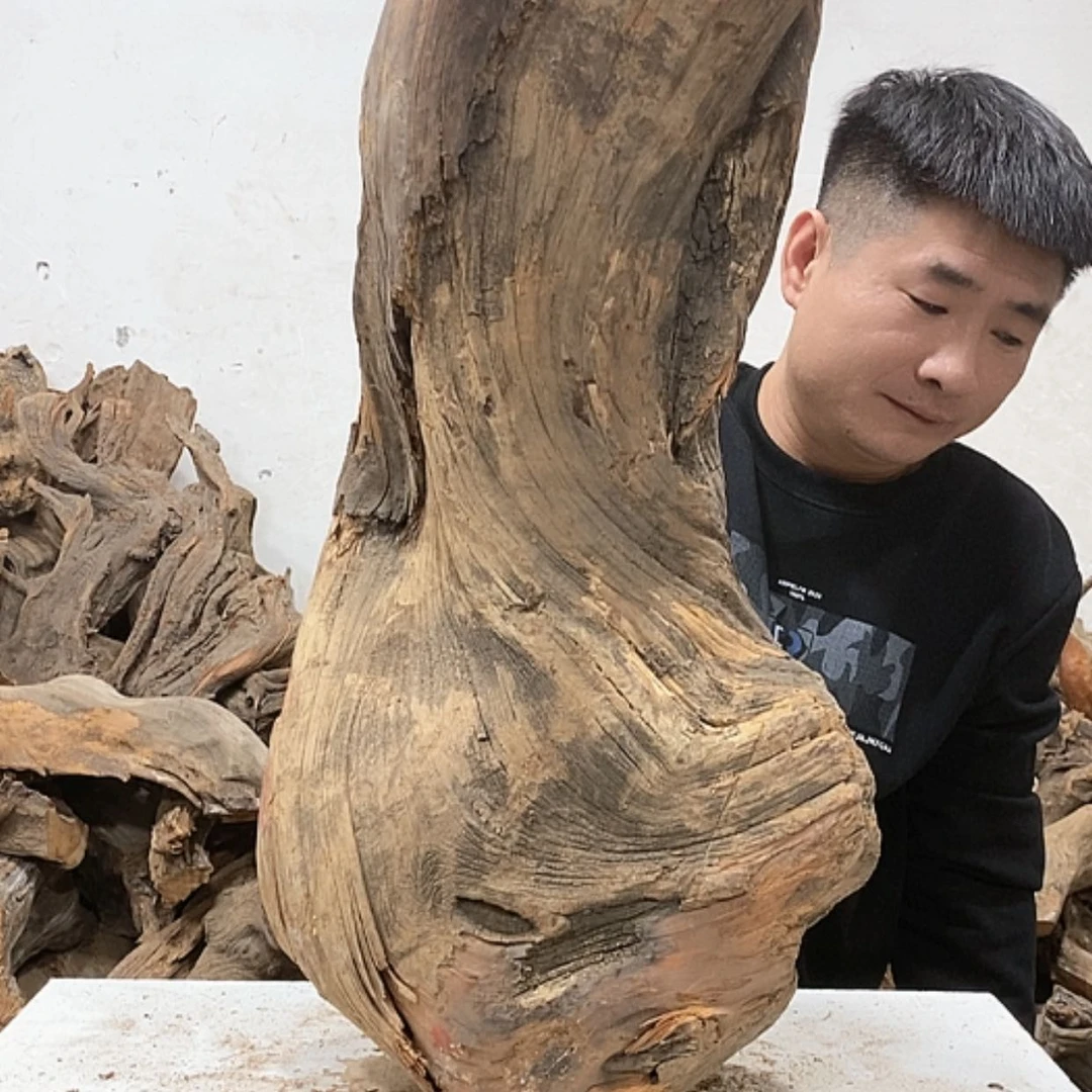 【闪购商品】柏木东*我们都在努力着改变着