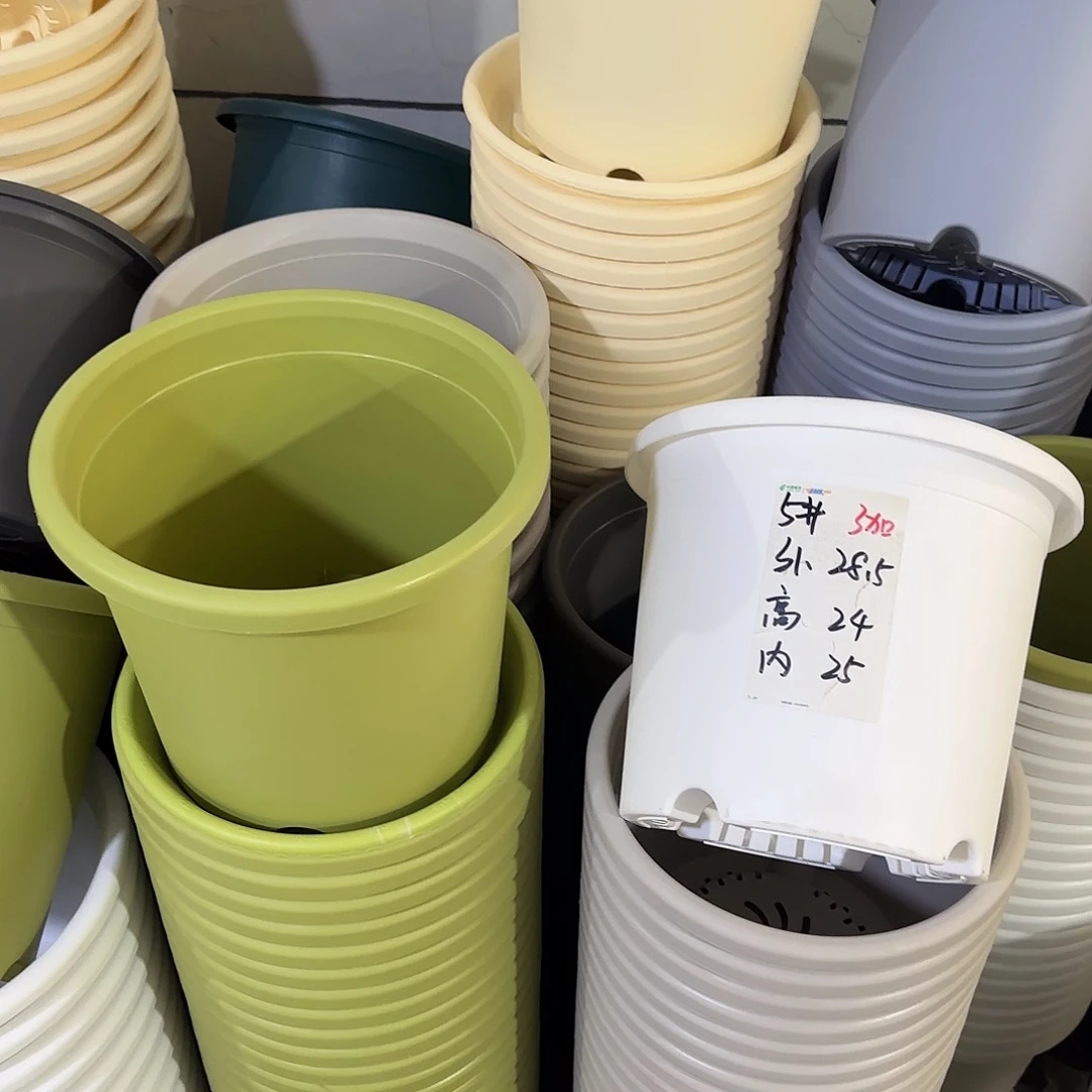 微瑕5号6个无托，白色