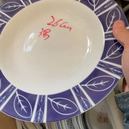 瓷片陶瓷陶瓷10英寸深盘红叶