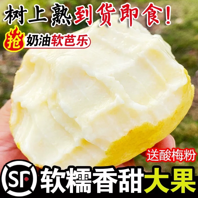 【次日达】树上熟软糯奶油芭乐番石榴带箱3斤低糖水果顺丰包邮