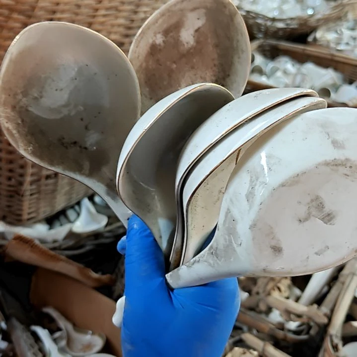 陶瓷盘子碗啥都有陶瓷盘子碗啥都有6个