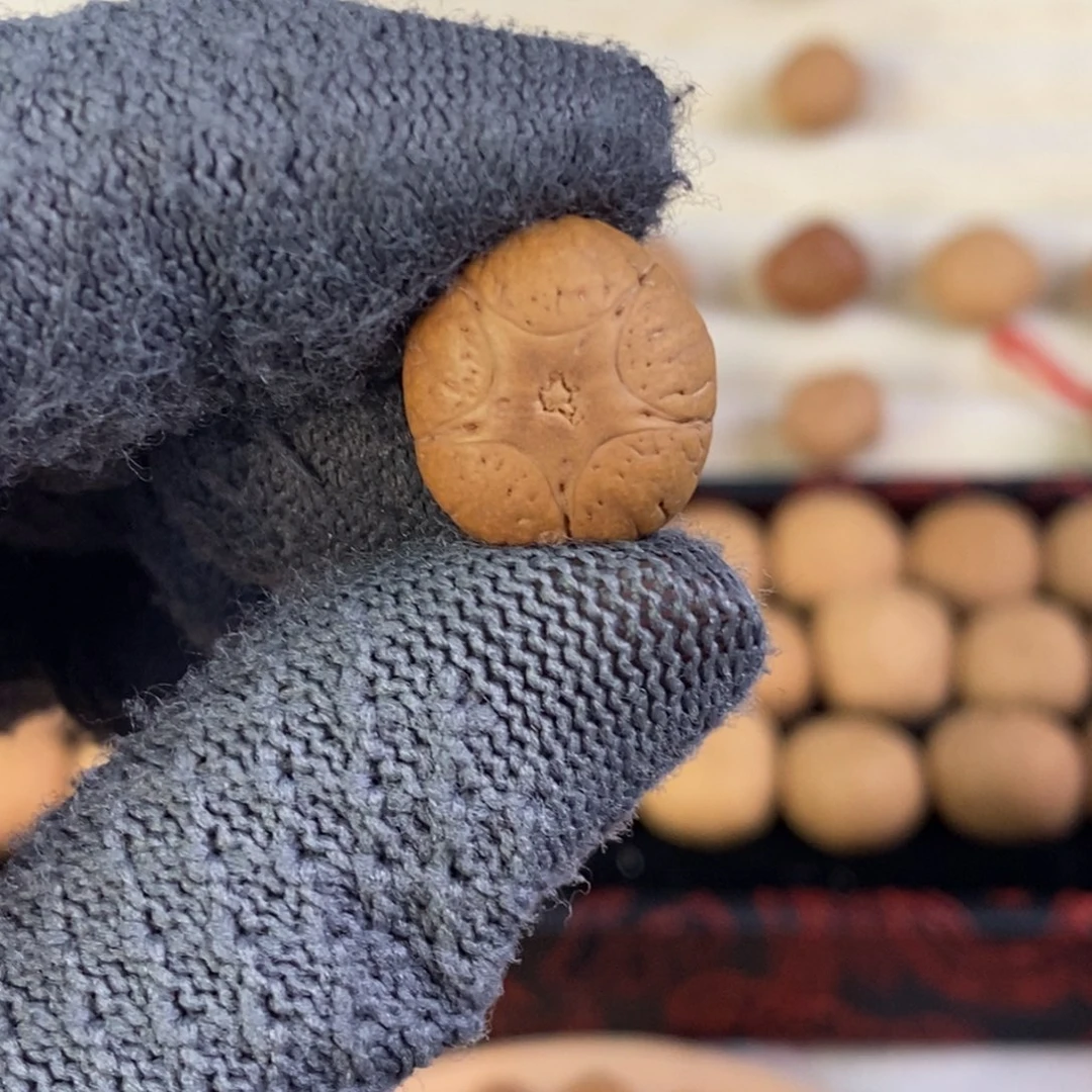 吊坠凤眼菩提14.8麒麟单颗