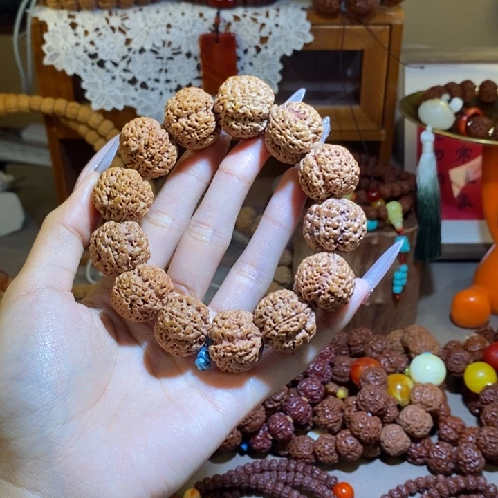 系***测金刚菩提手串225原籽树王满肉五面十龙一物