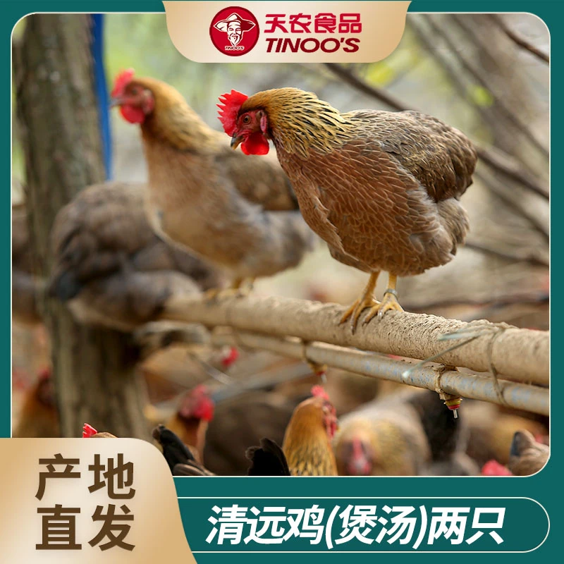 【天农】正宗清远鸡 皇后鸡1kg/只*2