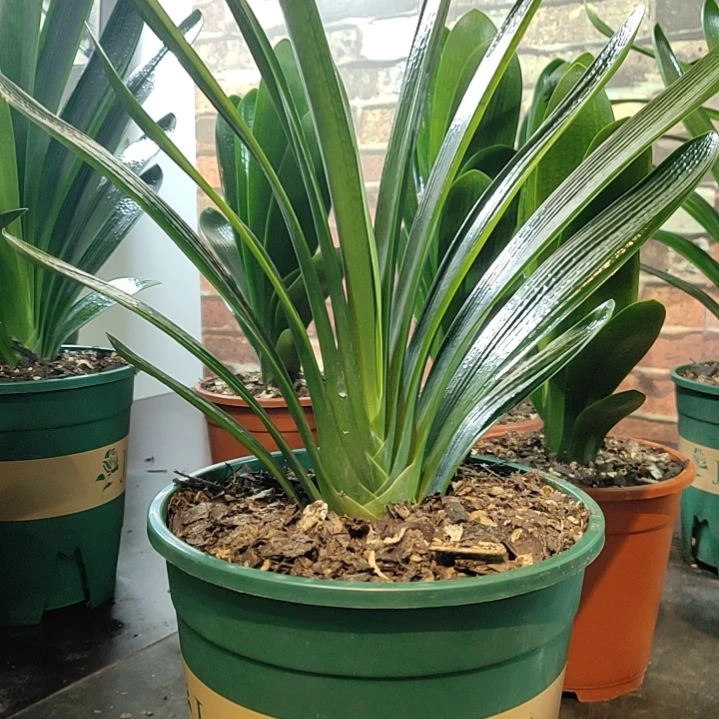 完全开放111111111