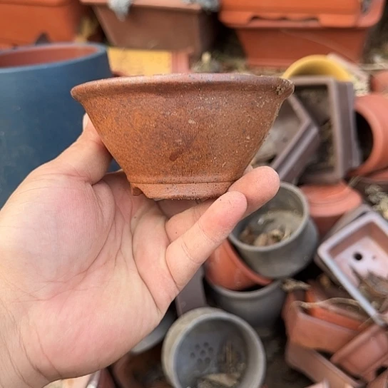 是一个集休闲农业的休闲胜地以及现代生活和旅游