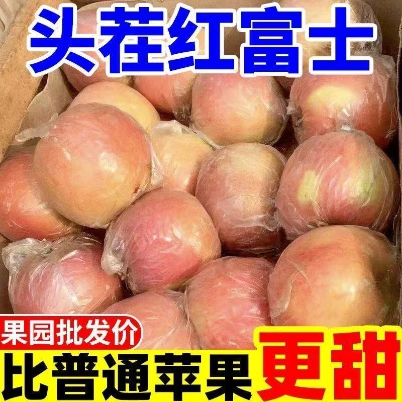 山西早红富士苹果脆甜多汁果肉厚黄河水浇灌当季水果整箱包邮