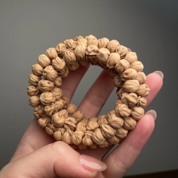 热振柏香籽吞兽8+