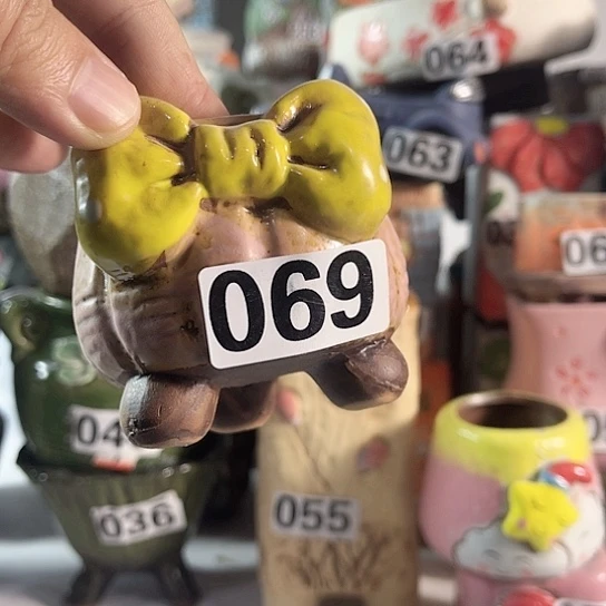 红陶多肉植物花盆