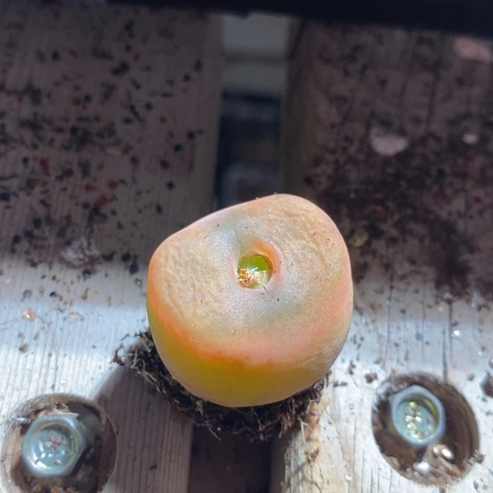 M****e21236一个一个一个