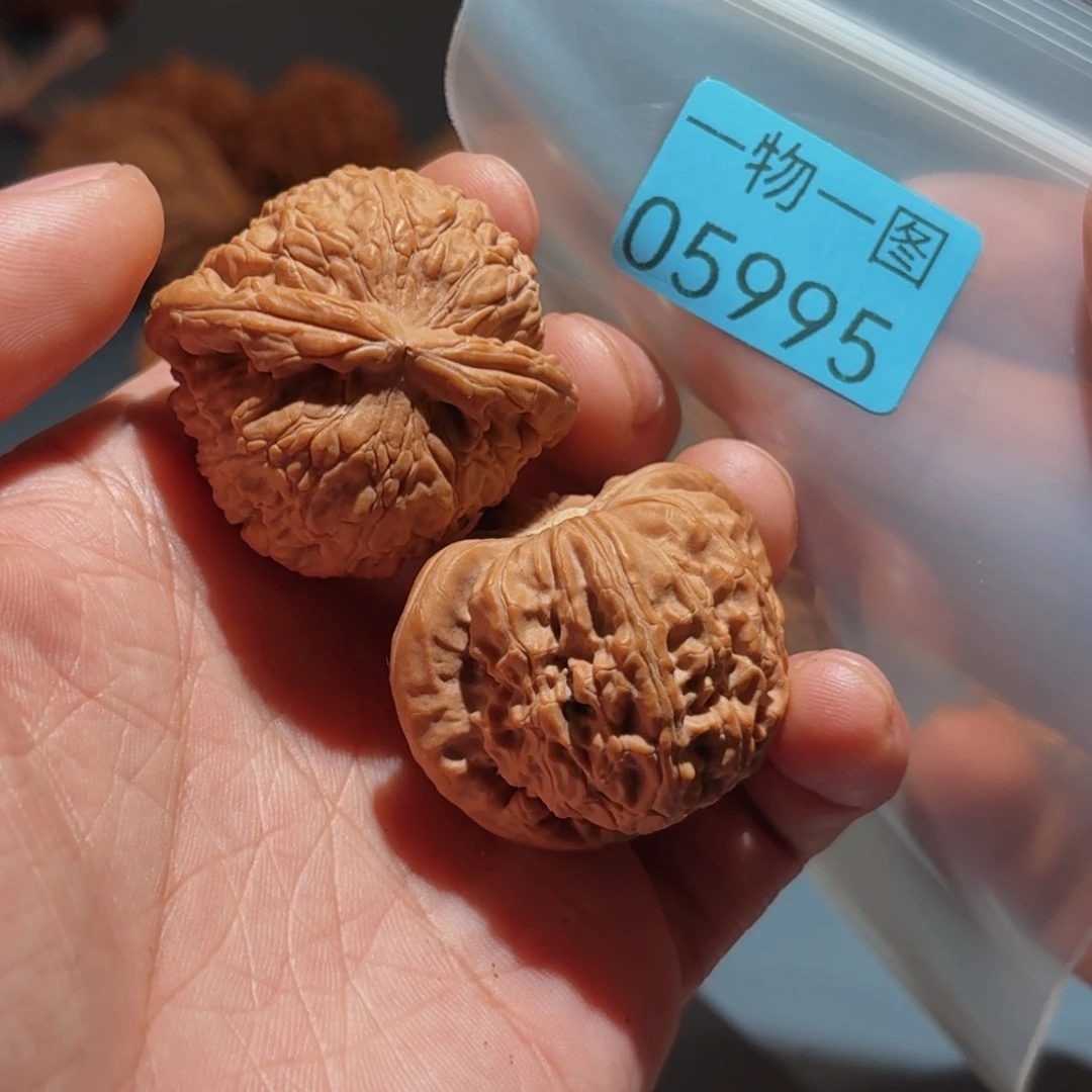 把件文玩核桃白狮子