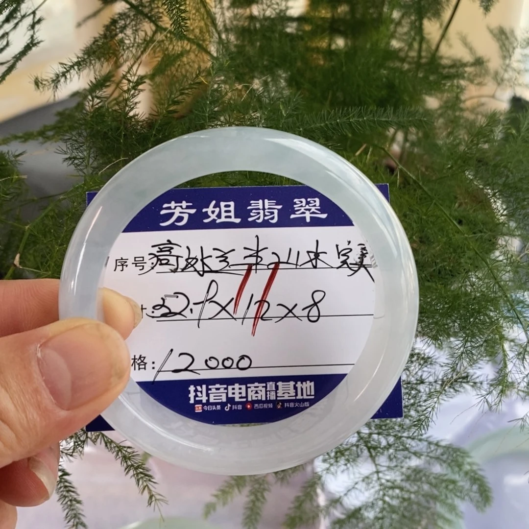 【闪购商品】未镶嵌手镯翡翠0000000011