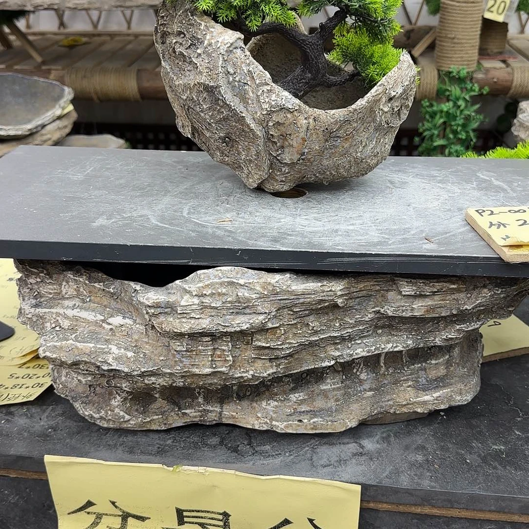 盆景盆花盆栽盆景