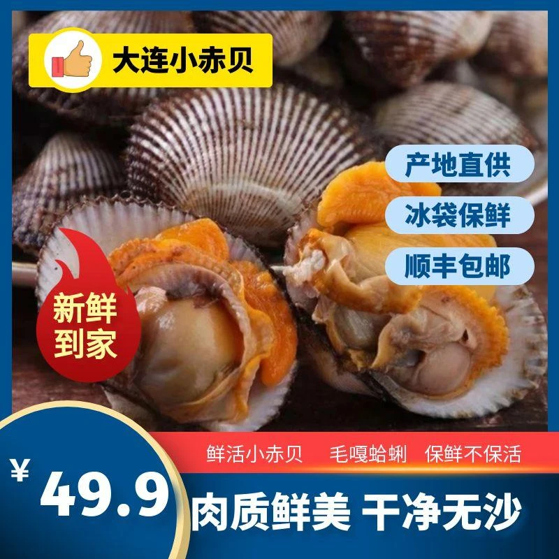 大连小赤贝 原产地直发 4斤 保鲜不保活 缩水率5%