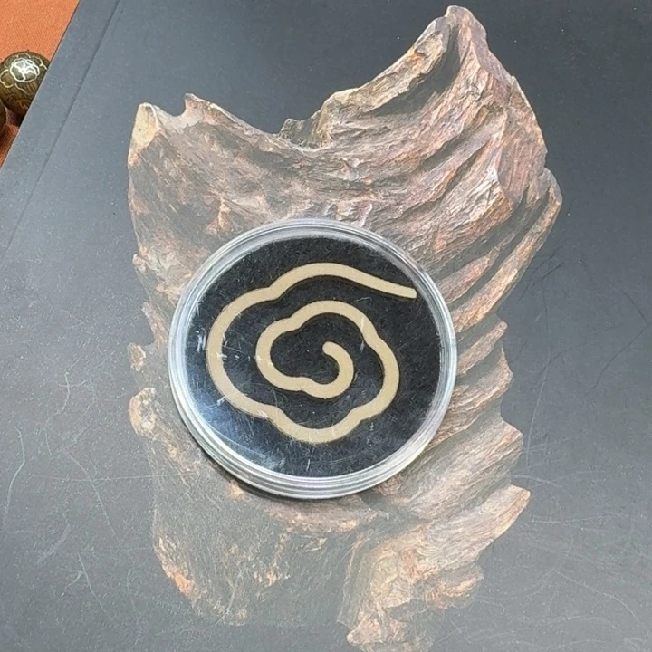 大叶紫檀（黑酸枝木类）