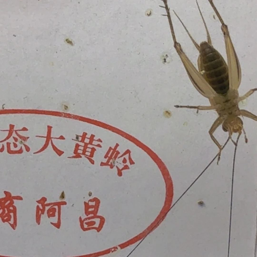 哈哈哈哈哈哈哈哈哈哈哈